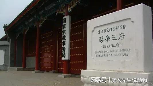 庆龄入住醇亲王府冰球突破豪华版宋(图3)