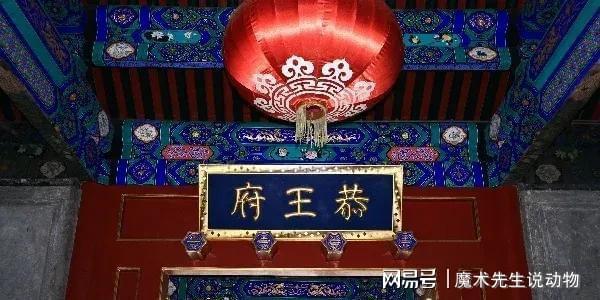 庆龄入住醇亲王府冰球突破豪华版宋(图2)