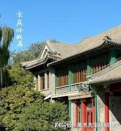 庆龄入住醇亲王府冰球突破豪华版宋