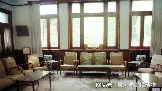 庆龄入住醇亲王府冰球突破豪华版宋(图4)