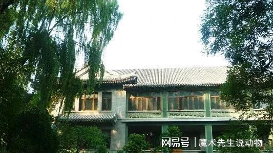 庆龄入住醇亲王府冰球突破豪华版宋(图5)