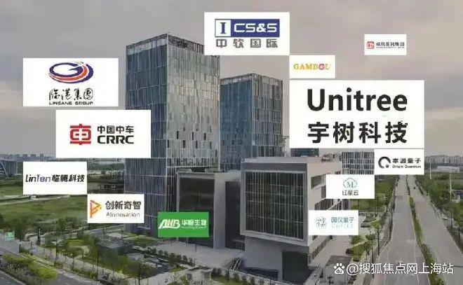 (2025中环铂樾)网站-优缺点分析冰球突破豪华版app中环铂樾权威发布(图3)