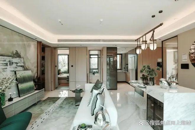 (2025中环铂樾)网站-优缺点分析冰球突破豪华版app中环铂樾权威发布(图17)